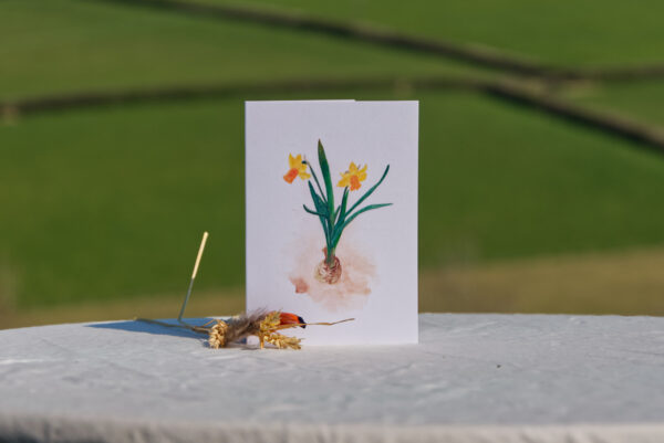 'Narcissus'