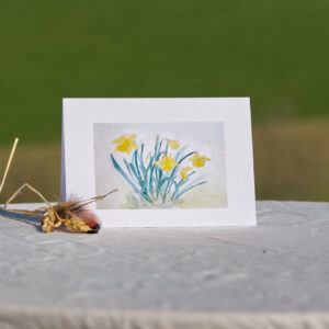 'Daffodils'