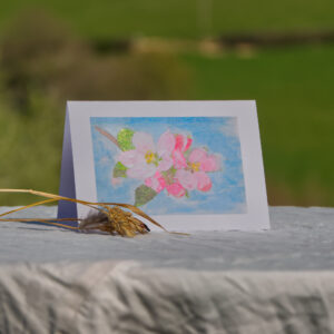 'Apple Blossom'