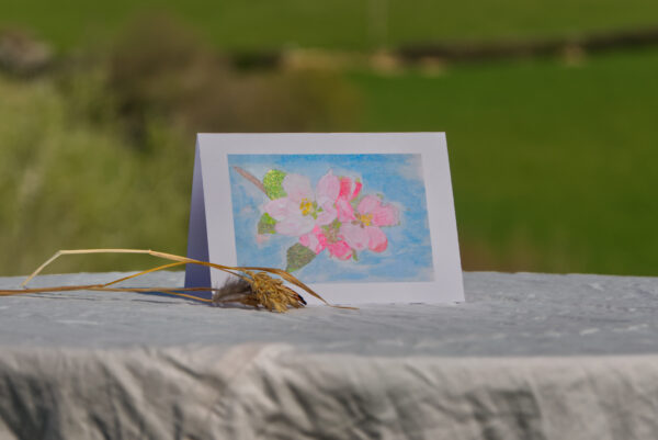 'Spring Garden Flowers' collection - Image 2