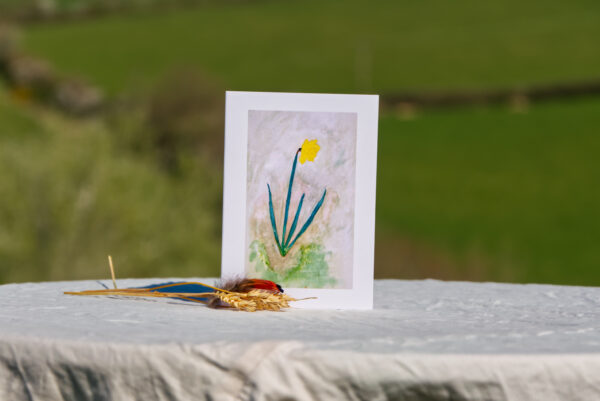 'Daffodils' collection - Image 5