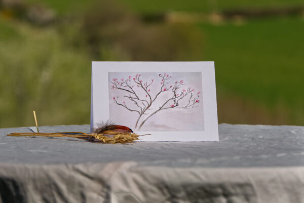 'Spring Garden Flowers' collection - Image 4