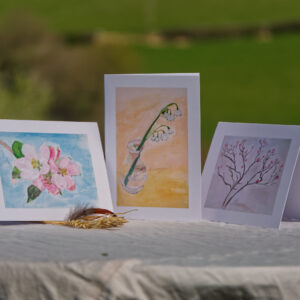 'Spring Garden Flowers' collection