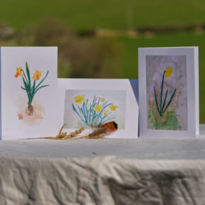 'Daffodils' collection