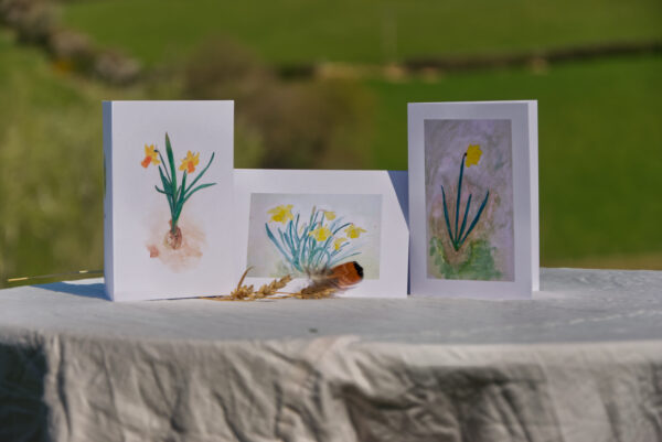 'Daffodils' collection