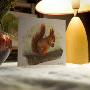 'Red Squirrel'